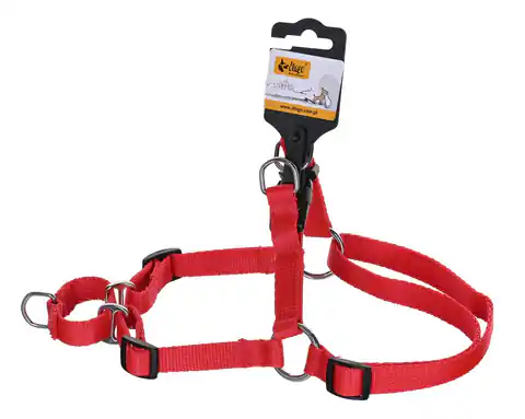 ⁨DINGO Easy Walk - Dog harness - 42-64 cm⁩ at Wasserman.eu