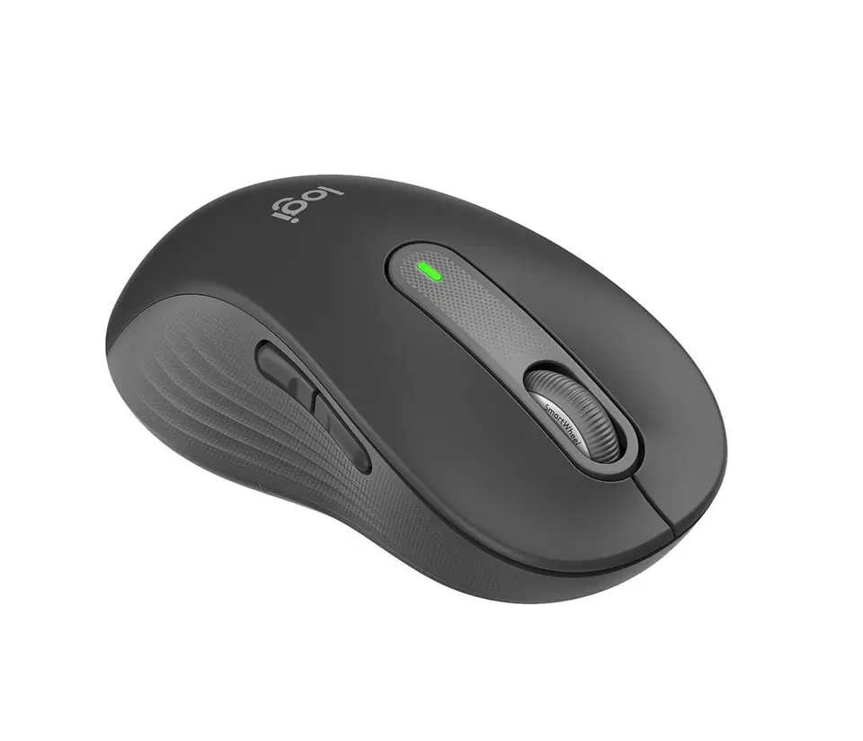 ⁨Logitech Signature M650 L - mus - larg⁩ at Wasserman.eu