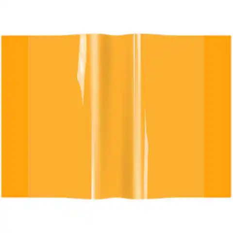 ⁨Okładka zeszytowa A4 pvc neon pomarańczowy (10) OZN-A4-04 BIURFOL⁩ w sklepie Wasserman.eu