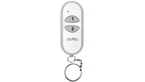 ⁨2-key remote control P-257/2 EXF10000014⁩ at Wasserman.eu