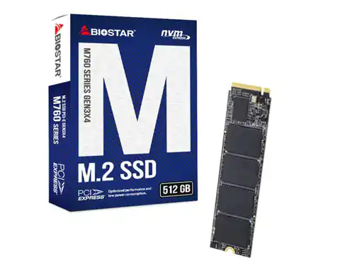 ⁨SSD Biostar M760 512GB⁩ at Wasserman.eu