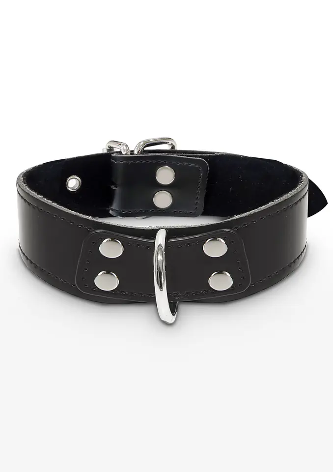 ⁨Taboom Elegant D-Ring Collar Black⁩ at Wasserman.eu