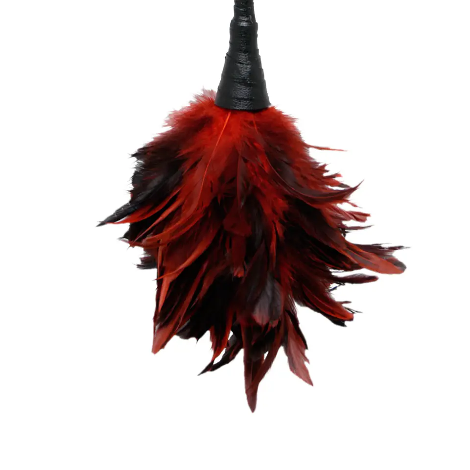 ⁨Pipedream Fetisch Fantasy Series Frisky Feather Duster Red⁩ at Wasserman.eu