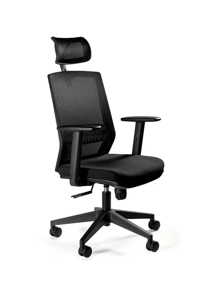 ⁨Ergonomic office chair ESTA black⁩ at Wasserman.eu