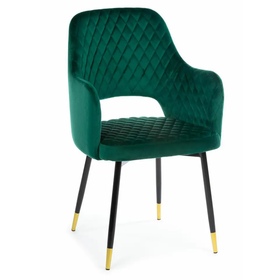 Chair Senko Black Dark Green at Wasserman.eu