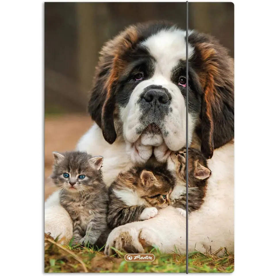 ⁨Teczka szkolna z gumką A4 ANIMALS 300023013 HERLITZ⁩ w sklepie Wasserman.eu