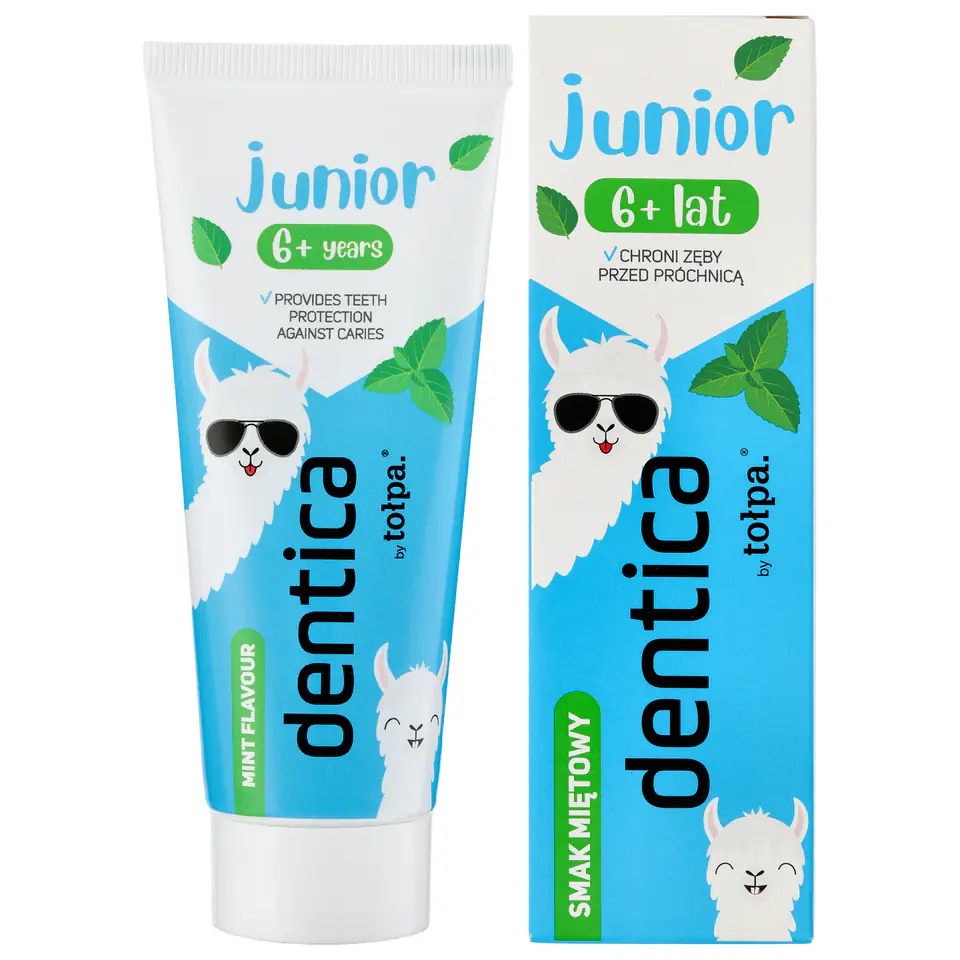 TOŁPA Dentica Junior 6+ Pasta do zębów dla dzieci przeciwpróchnicza miętowa 50 ml w sklepie Wasserman.eu