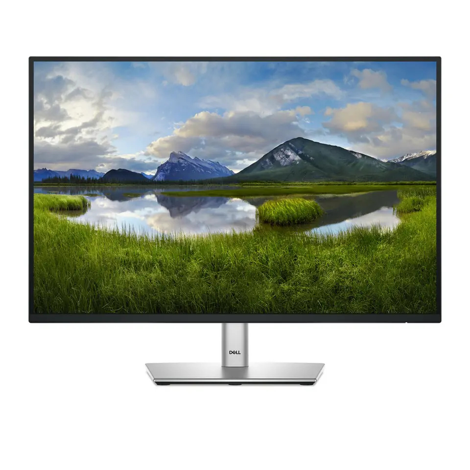 ⁨DELL P Series P2425E computer monitor 61.1 cm (24.1") 1920 x 1200 px WUXGA LCD, black⁩ at Wasserman.eu