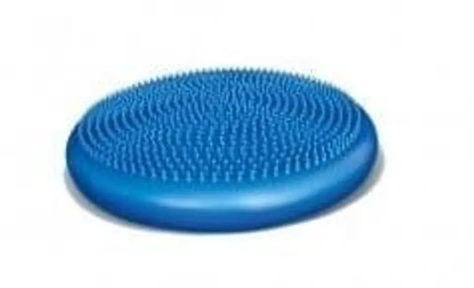 ⁨BALANCE DISC Sensory cushion with tabs⁩ at Wasserman.eu