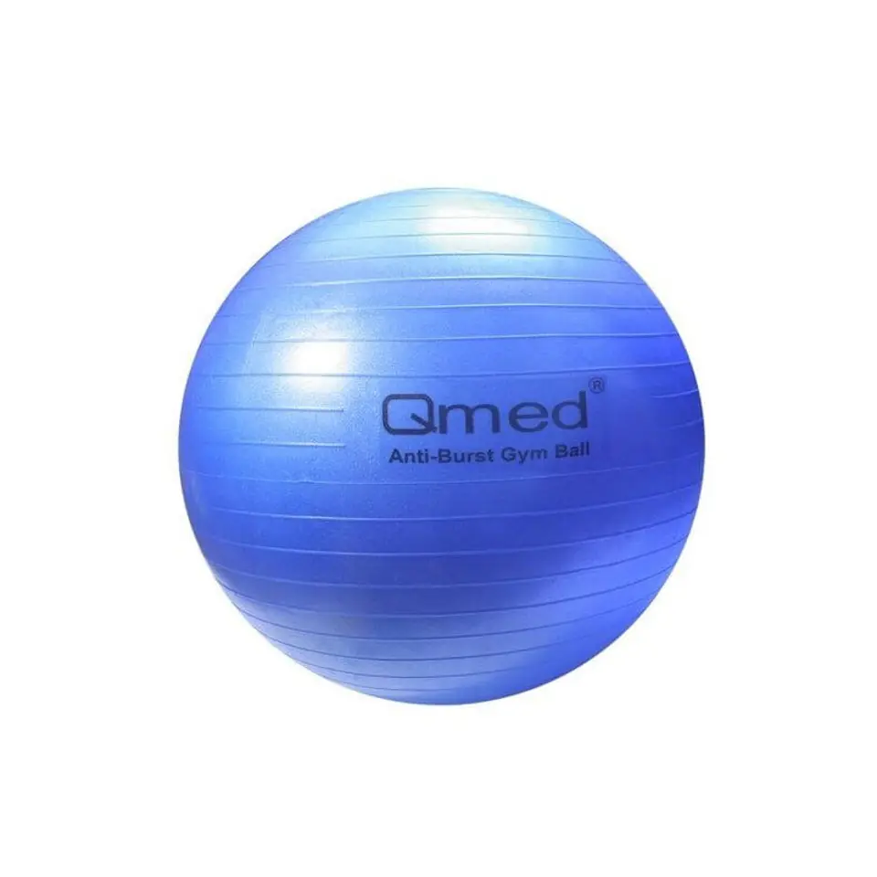 ⁨ABS rehabilitation ball with pump 75cm⁩ at Wasserman.eu