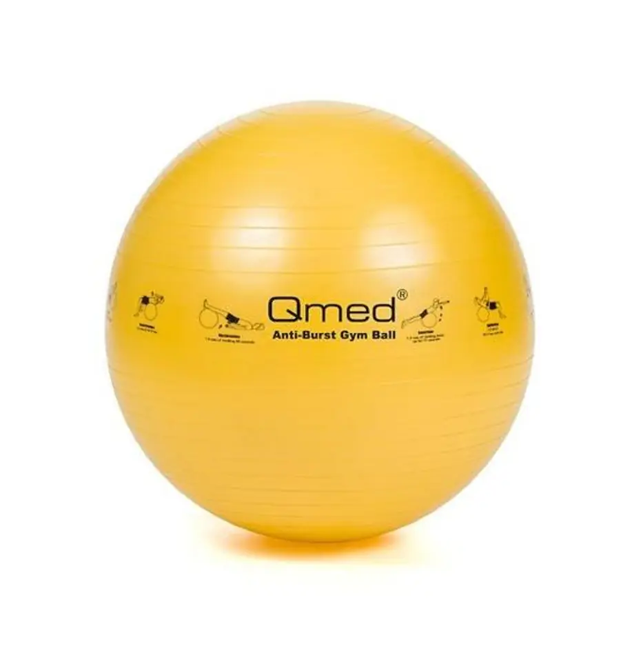 ⁨ABS rehabilitation ball with pump 45cm⁩ at Wasserman.eu