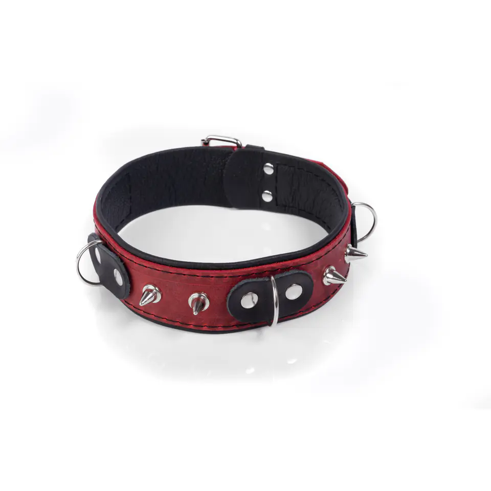 Whips Obroża Crazy Horse Red S w sklepie Wasserman.eu
