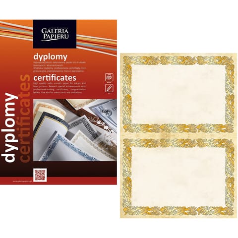 Dyplom Galeria Papieru A4/170g Celtic (25) w sklepie Wasserman.eu