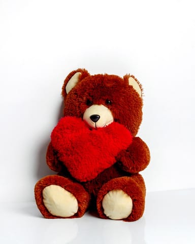 ⁨FRANK teddy bear 50 cm brown⁩ at Wasserman.eu