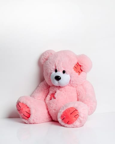 TEDDY bear 60 cm pink at Wasserman.eu