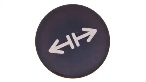⁨Soczewka przycisku 22mm płaska czarna z symbolem LUZOWANIE M22-XD-S-X13 218179⁩ w sklepie Wasserman.eu