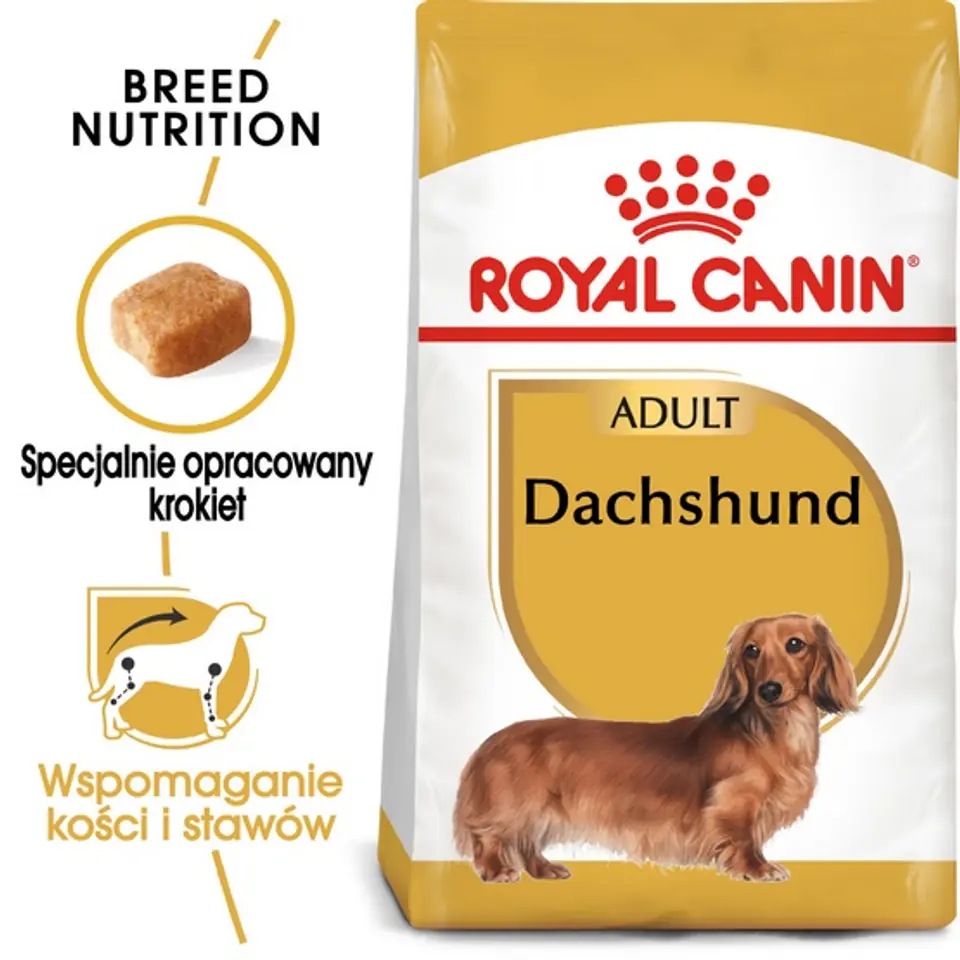 ⁨Royal Canin Dachshund Adult karma sucha dla psów dorosłych rasy jamnik 1,5kg⁩ w sklepie Wasserman.eu