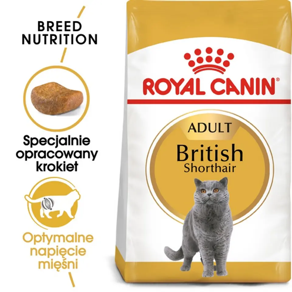 ⁨Royal Canin British Shorthair Adult karma sucha dla kotów dorosłych rasy brytyjski krótkowłosy 400g⁩ w sklepie Wasserman.eu