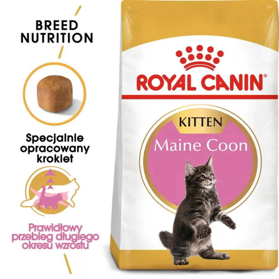 ⁨Royal Canin Maine Coon Kitten karma sucha dla kociąt, do 15 miesiąca, rasy maine coon 400g⁩ w sklepie Wasserman.eu