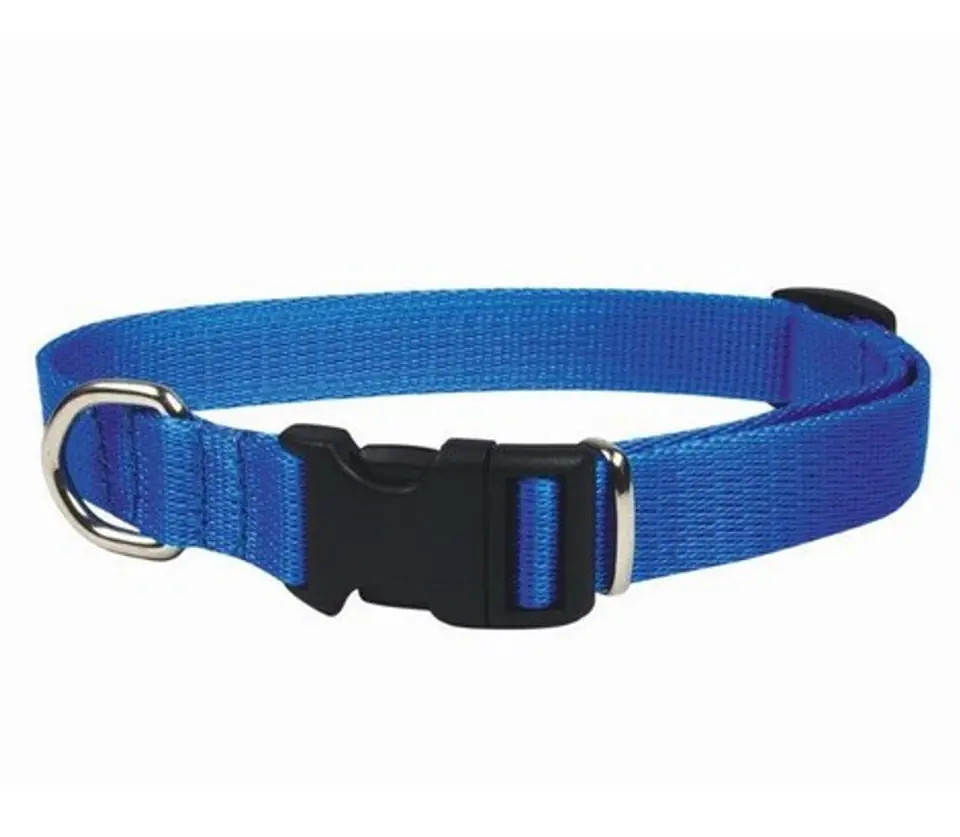 ⁨CHABA Collar adjustable tape 20mm x 46cm blue⁩ at Wasserman.eu