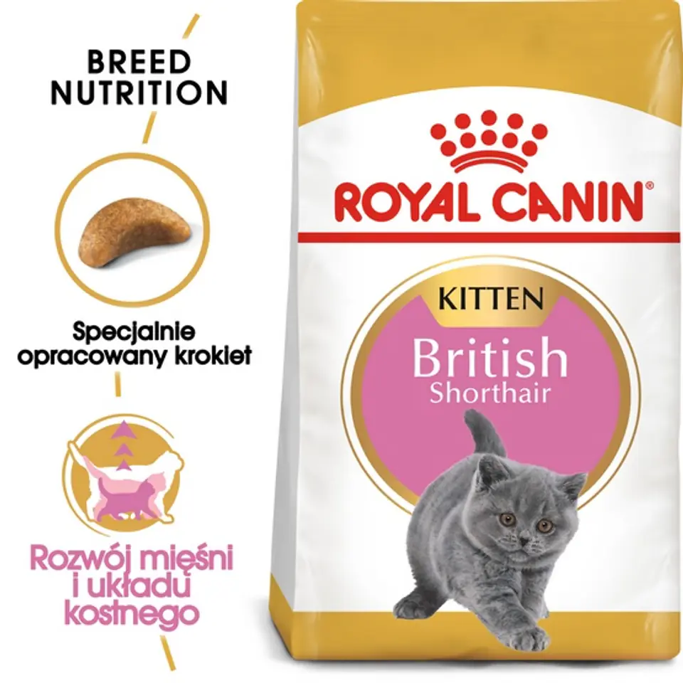 ⁨Royal Canin British Shorthair Kitten karma sucha dla kociąt, do 12 miesiąca, rasy brytyjski krótkowłosy 400g⁩ w sklepie Wasserman.eu