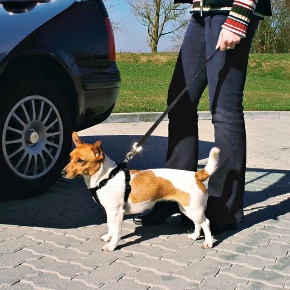 ⁨Trixie Car Harness for dog - size M⁩ at Wasserman.eu