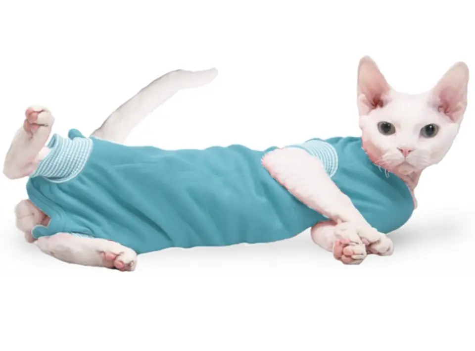 ⁨Grande Finale Koszulka pooperacyjna dla kota niebieska 25cm [WET1/KOT]⁩ w sklepie Wasserman.eu