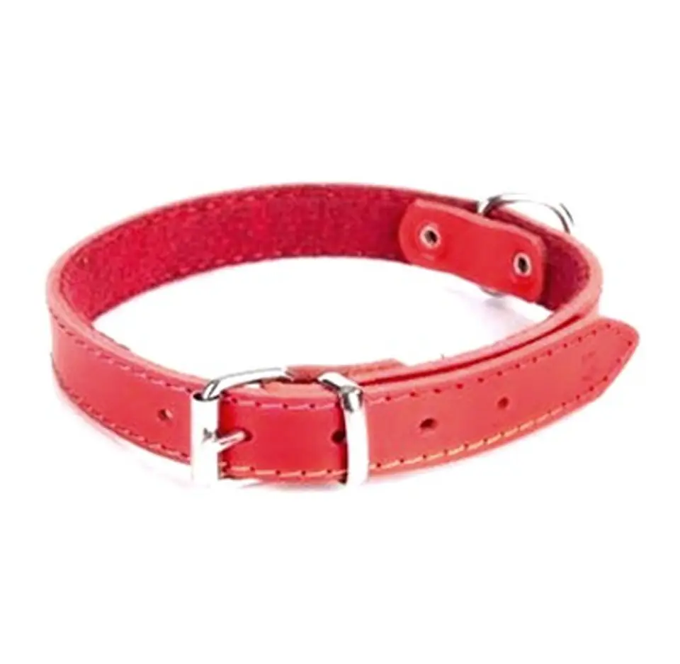 ⁨Dingo Leather collar lined with felt 1,0x36cm red⁩ at Wasserman.eu