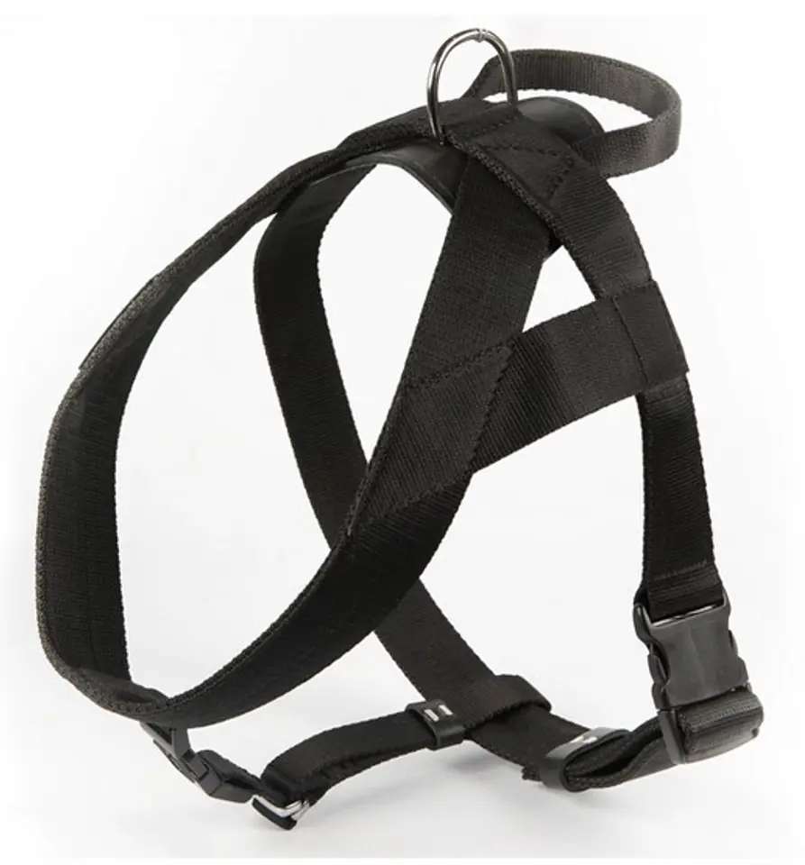 ⁨Dingo Braces strap with handle 4cm black⁩ at Wasserman.eu