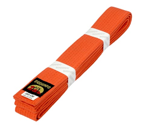 ⁨KIMONO BELT 300cm orange⁩ at Wasserman.eu