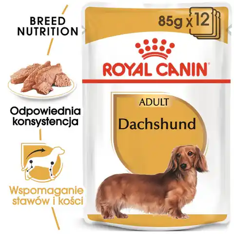 ⁨Royal Canin Dachshund karma mokra - pasztet, dla psów dorosłych rasy jamnik saszetka 85g⁩ w sklepie Wasserman.eu