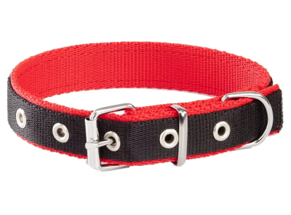 Dingo Obroża taśma polipropylenowa podwójnie zszywana 2,5cm/60cm czarno-czerwona w sklepie Wasserman.eu