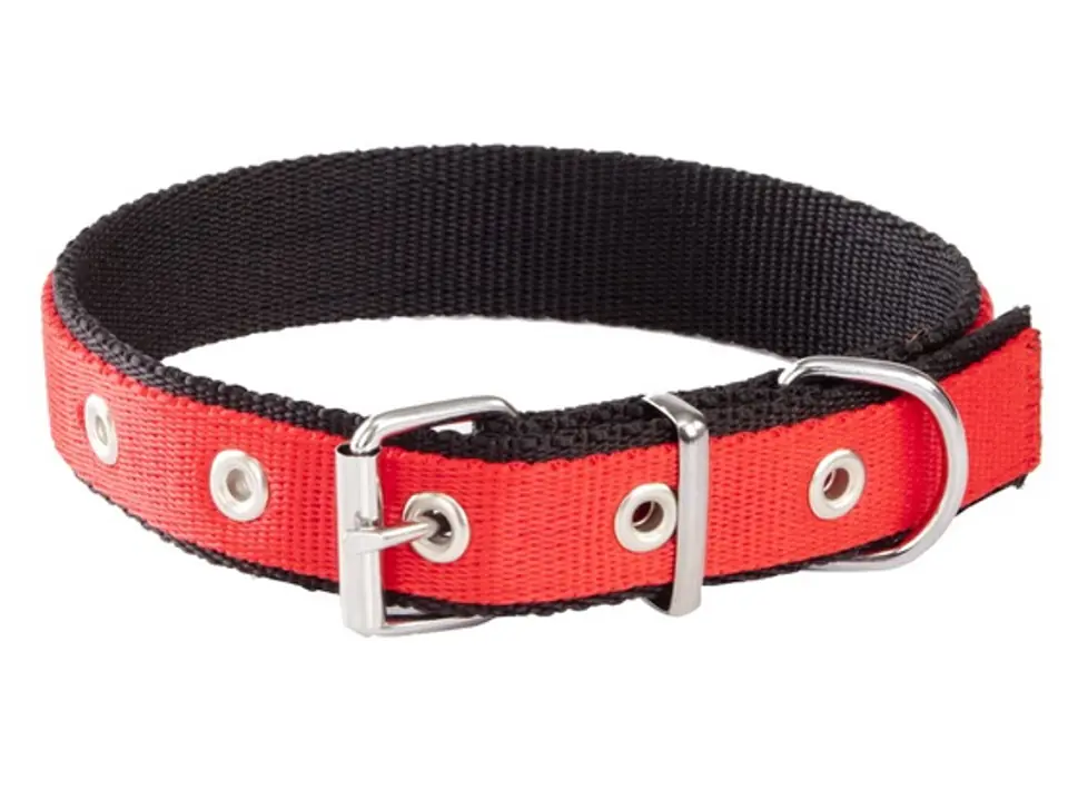 Dingo Obroża taśma polipropylenowa podwójnie zszywana 2,5cm/65cm czerwono-czarna w sklepie Wasserman.eu