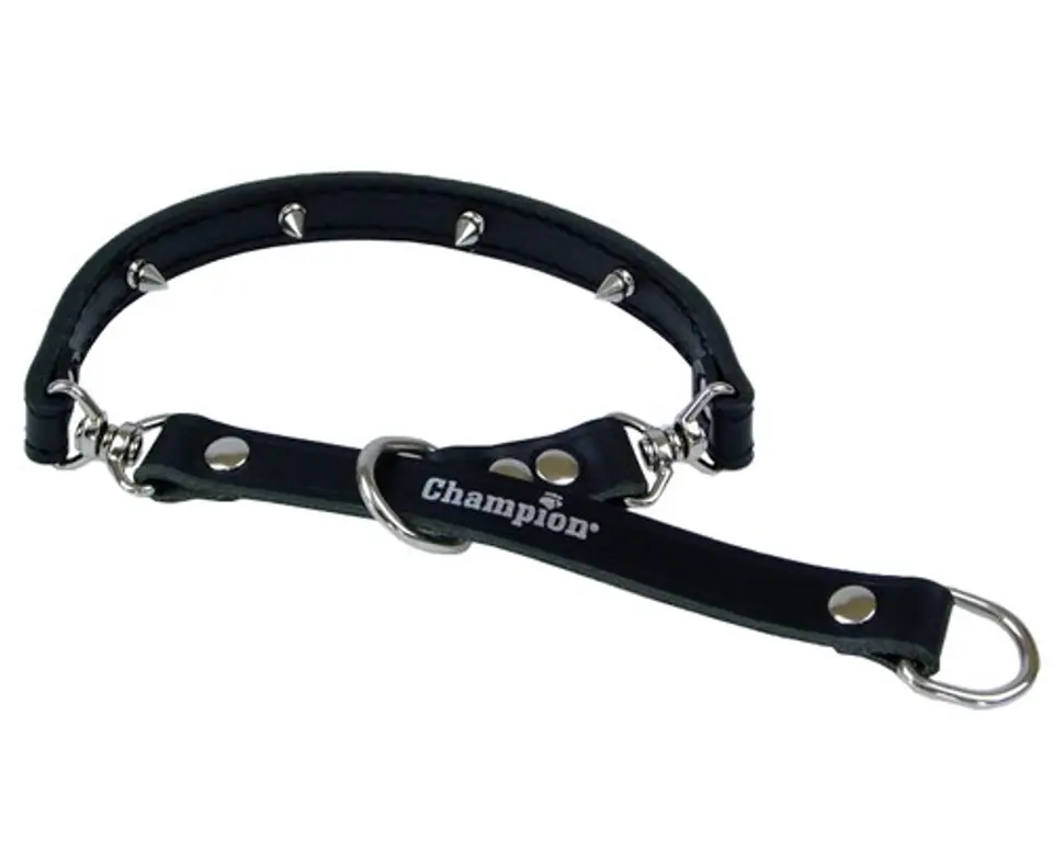 ⁨Champion Leather collar 45-55/1,8 [SOZ 1]⁩ at Wasserman.eu