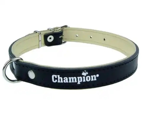 ⁨Champion Leather collar black SK/S 40/1,8 [SOS]⁩ at Wasserman.eu