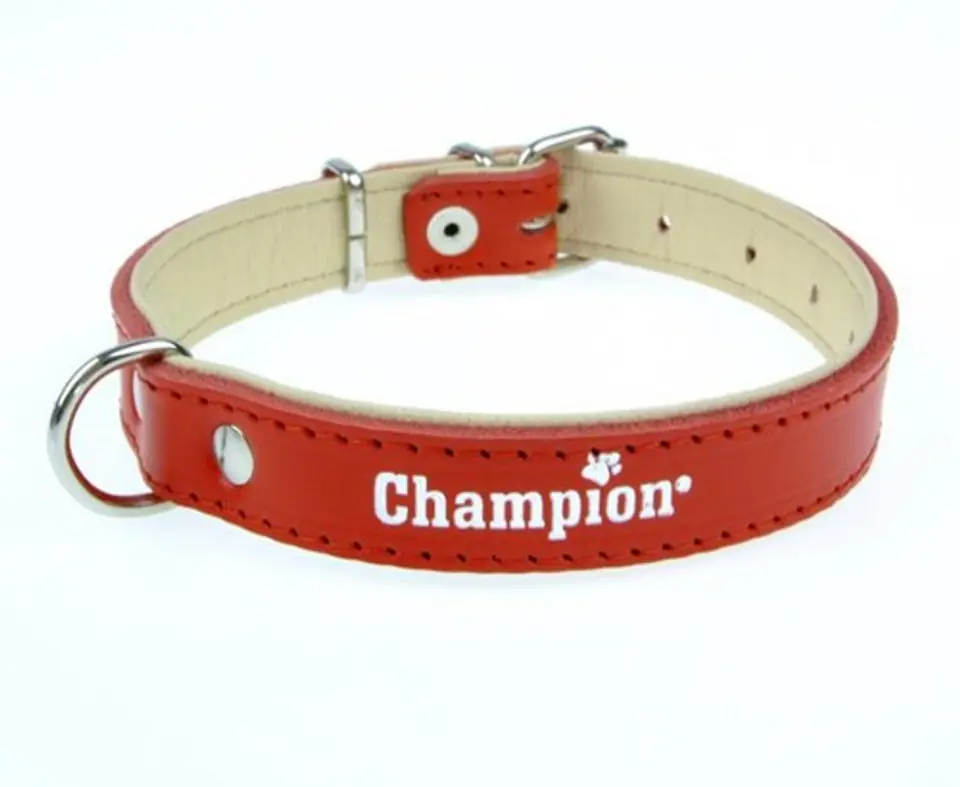 ⁨Champion Leather collar red SK/S 40/1,8(R) [SOS]⁩ at Wasserman.eu