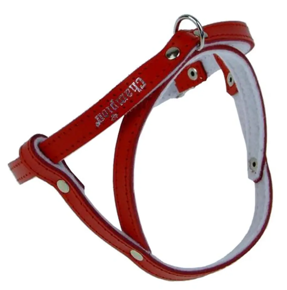 ⁨Champion Braces 40 red [SD(R)]⁩ at Wasserman.eu