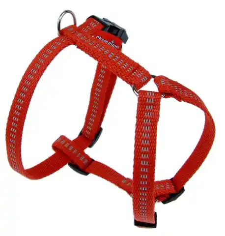 ⁨Champion Braces Verstellbares Reflexband 50 [TSZ RO]⁩ im Wasserman.eu
