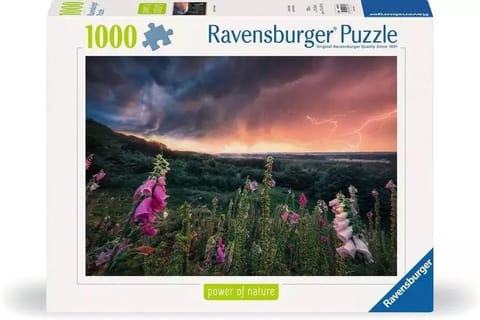 ⁨Puzzle 1000 Nadchodzi burza⁩ w sklepie Wasserman.eu