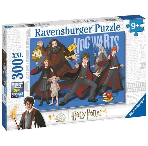 ⁨Puzzle 2D 300 Magiczna Brygada⁩ w sklepie Wasserman.eu