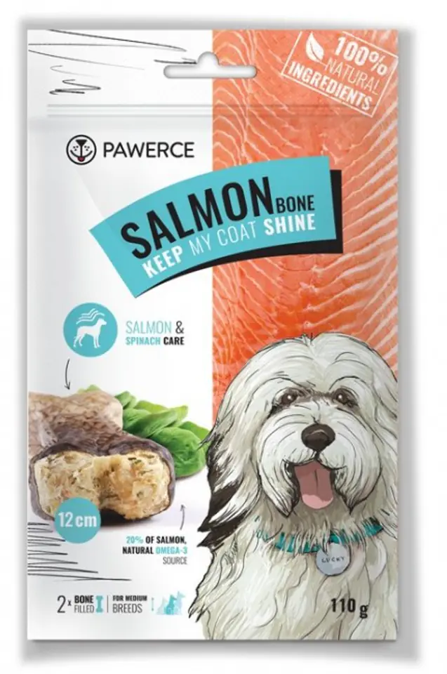 PAWERCE Salmon Bone Chewing bone with salmon and spinach - dog chew - 2 x 12 cm at Wasserman.eu