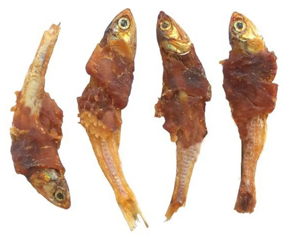 ⁨Magnum Fish wrapped in chicken 250g⁩ at Wasserman.eu