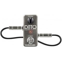 ⁨TC Electronic Ditto Looper Looper⁩ at Wasserman.eu