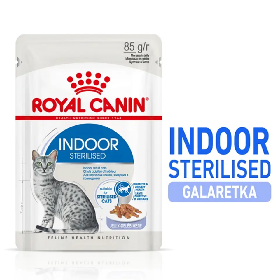 ⁨Royal Canin Indoor Sterilised Jelly wet food for adult cats sterilized, staying at home sachet 85g⁩ at Wasserman.eu