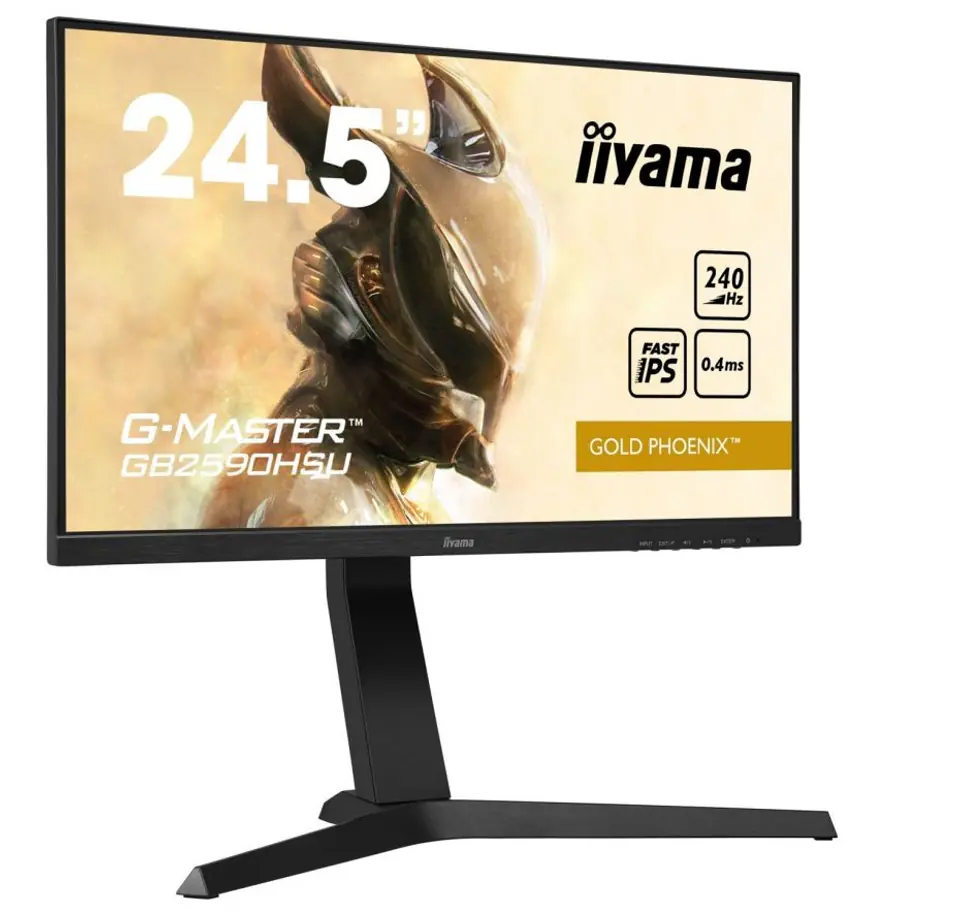 24.5 inch Monitor GB2590HSU-B1 0.4ms,IPS,DP,HDMI,240Hz,400cd,USB3.0 at Wasserman.eu