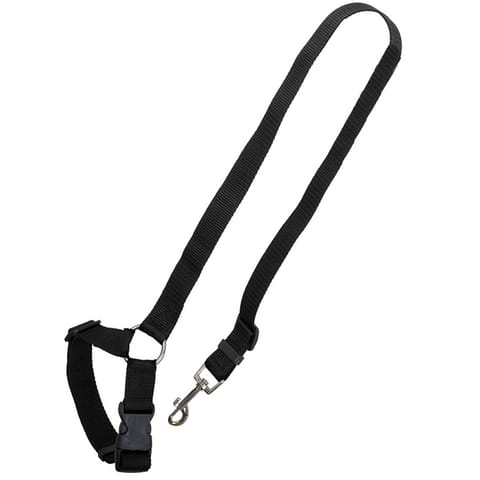 ⁨Car leash seat belts for dog cat⁩ at Wasserman.eu