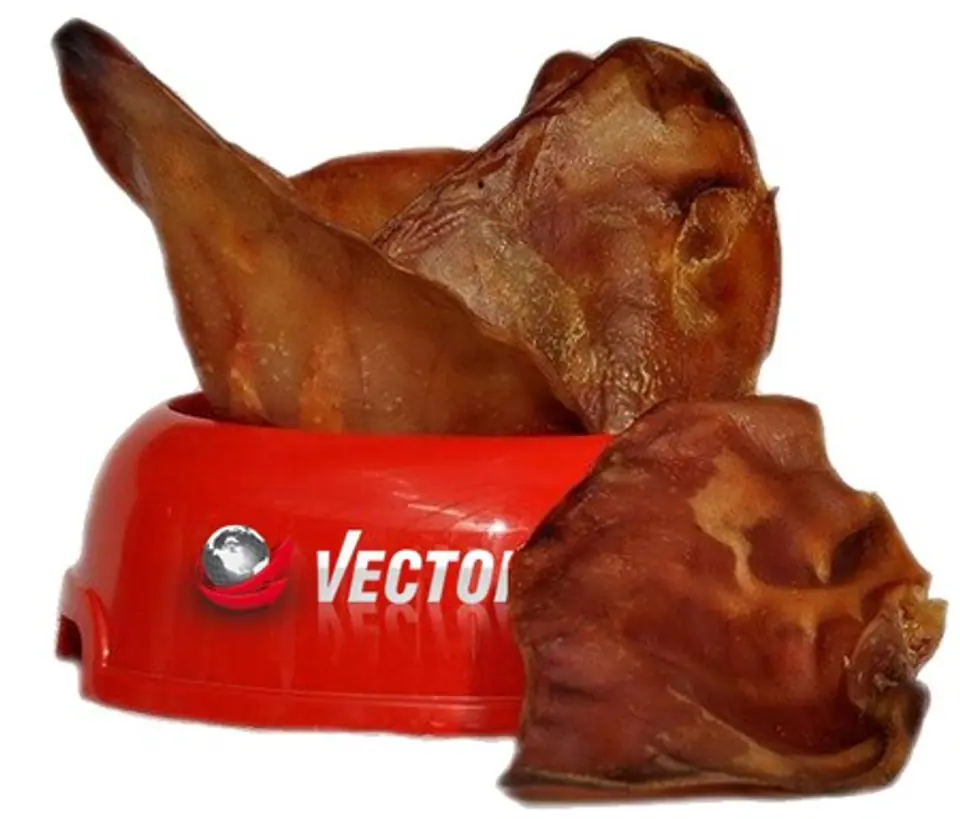 ⁨Vector-Food Pork ear large 10pcs⁩ at Wasserman.eu