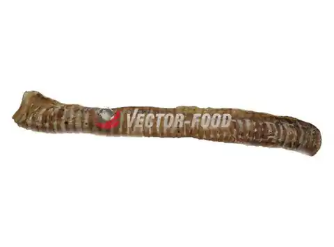 ⁨Vector-Food Beef trachea whole 1pcs/35cm⁩ at Wasserman.eu