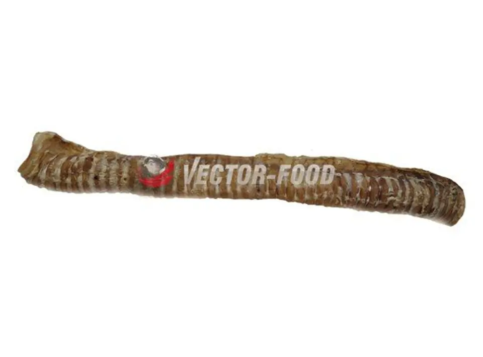 Vector-Food Tchawica wołowa cała 1szt/35cm w sklepie Wasserman.eu