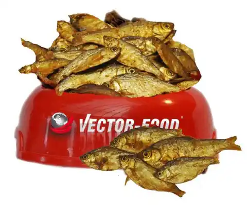 ⁨Vector-Food Dried fish (sardines) 100g⁩ at Wasserman.eu